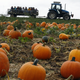 Illustration for article titled The Pumpkin Spice Onslaught Begins Now, Gird Your Loins